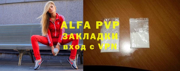 стафф Гусев