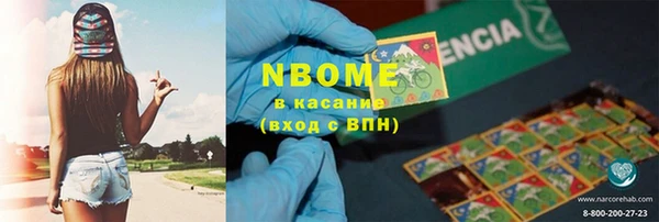 стафф Гусев