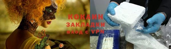 PSILOCYBIN Дмитриев