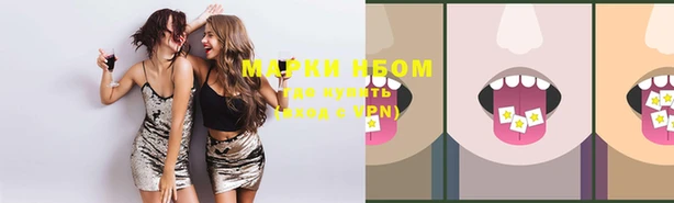 стафф Гусев