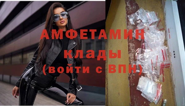 стафф Гусев