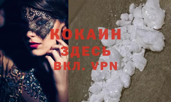 стафф Гусев