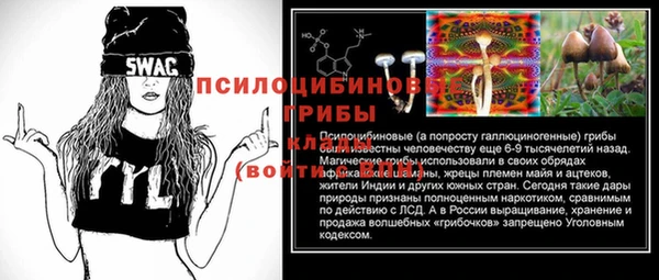 стафф Гусев