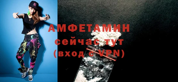стафф Гусев