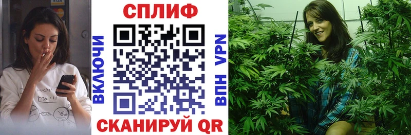 площадка наркотические препараты  Назрань  Бошки Шишки тримм 
